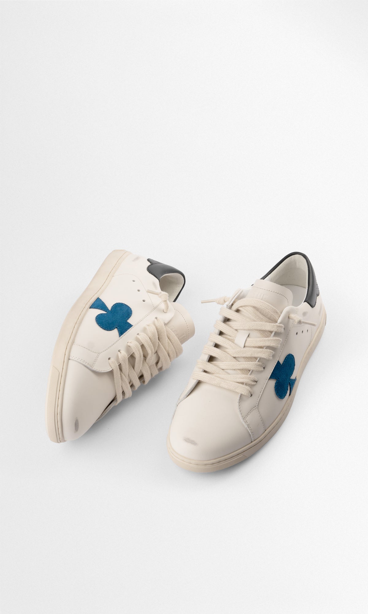Geneva - BLUE CLOVER